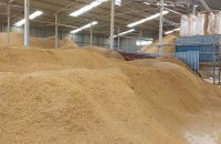 Tái chế vỏ trấu thành năng lượng tái sinh