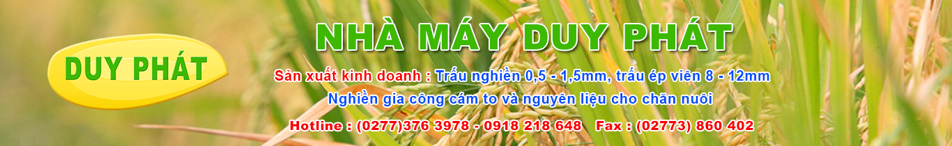 Nhà Máy Trấu Nghiền | Trấu Ép Viên Duy Phát | Bot Trau Nghien | Trau Ep Vien